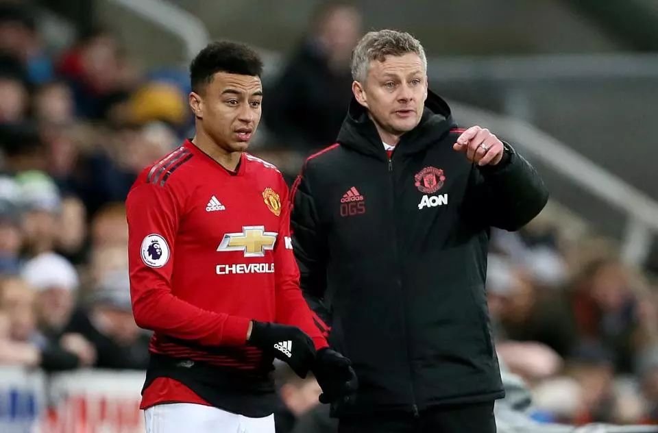 背后是整个 背后是整个