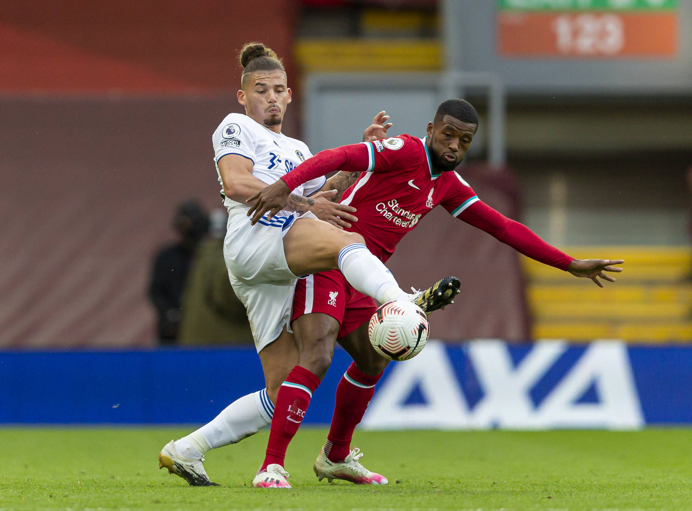 翅翱翔的球 翅翱翔的球